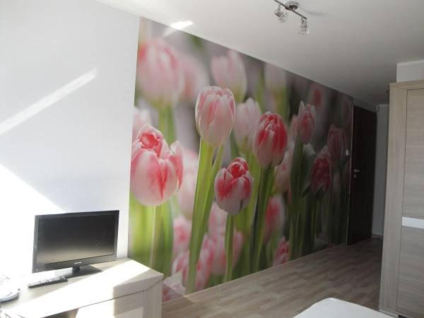 Hotel Willa I Domki Dobranocka Krynica Morska Zewnętrze zdjęcie